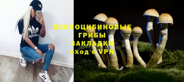 бошки Армянск