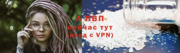 spice Аркадак