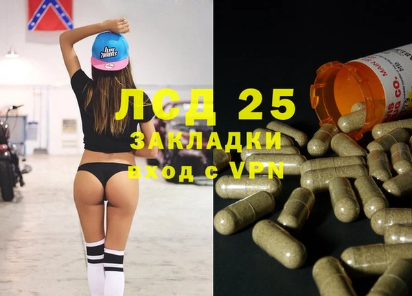 spice Аркадак