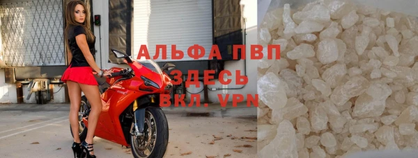 spice Аркадак